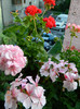 DSCN0580