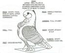 scan0001