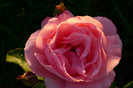038