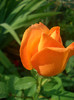 CIMG5810
