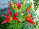 P1010044