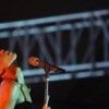 Rihanna_1231373014_0