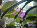 P1140681