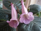 P1140683