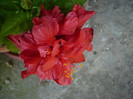 P1140720