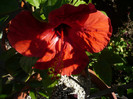 P1140722