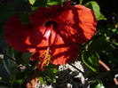 P1140723