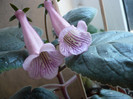 P1140788
