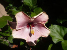 P1140762