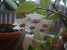 DSC04680