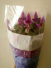 16 iunie 2012-flori 039