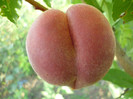 Si natura mai glumeste !