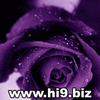 poze%20pt%20avatar%20smechere