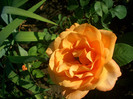 CIMG5860