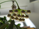 DSCN8597