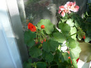 P1020158