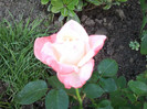 2012-06-17 20.49.36