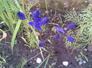 16.06.2012