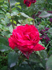 IMGP3220