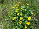 DSCF1258