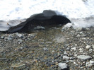 DSCF1273