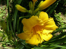 P5067344