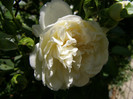 P5067358