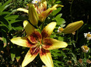 P5067361