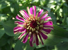 DSCF7599