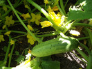 DSCF7609