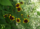DSCF7612