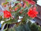 DSC06564