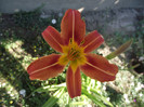 DSCF7634