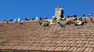 2012-06-18-489