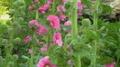 IMGA0032