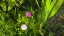 IMGA0035