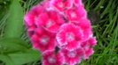 IMGA0053