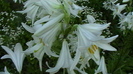 IMGA0056