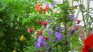IMGA0062