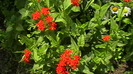 IMGA0941