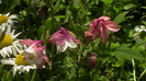 IMGA0942