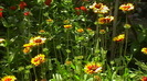 IMGA0945