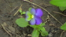 IMGA0968