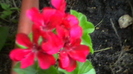 IMGA0985