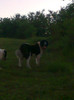 Photo0743