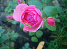 CIMG5892