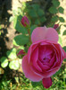 CIMG5893