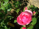 CIMG5895