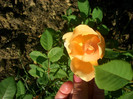 CIMG5890