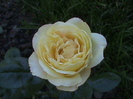 DSC01585